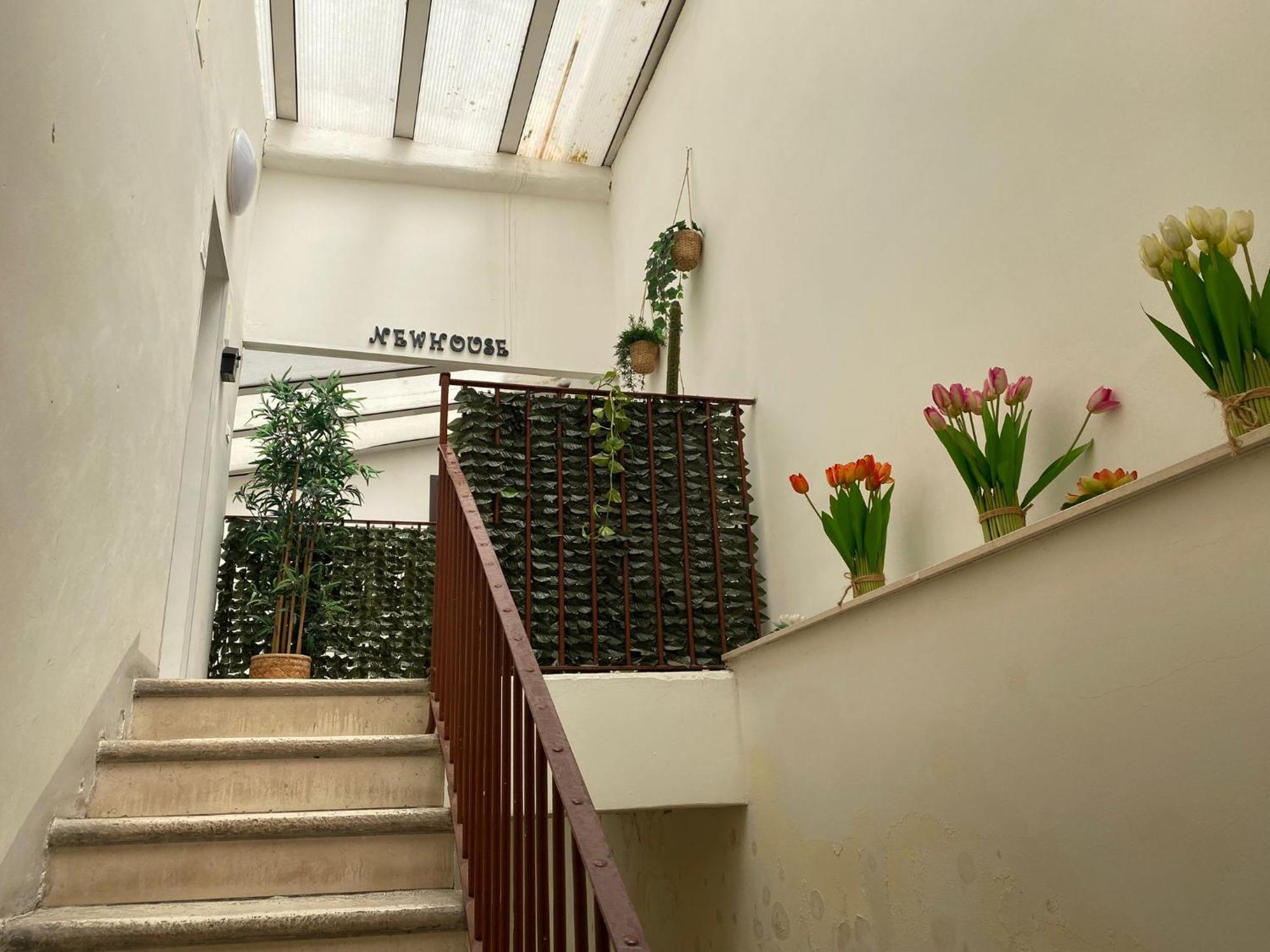 Newhouse Dante * Bari